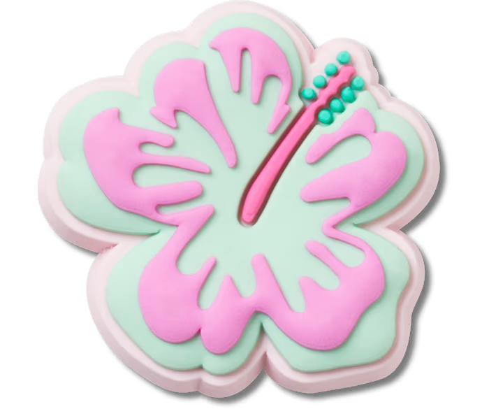 Turquoise And Pink Hibiscus