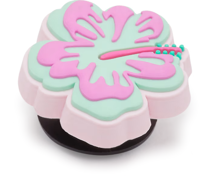 Turquoise And Pink Hibiscus