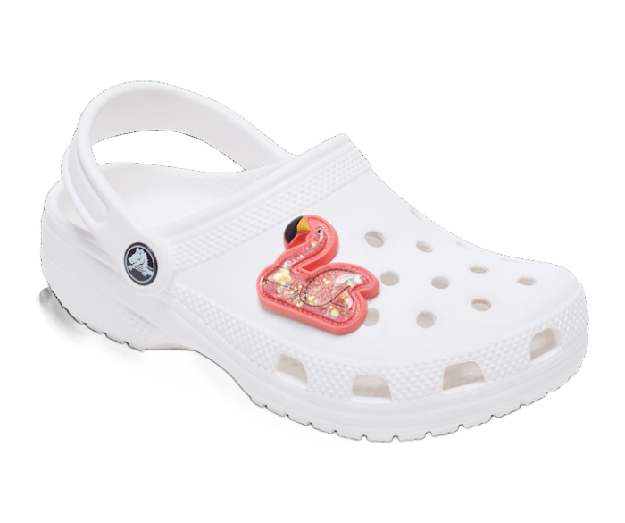 Squish Flamingo Floatie