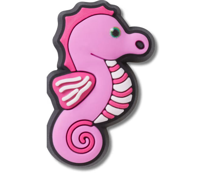 Baby Animal Seahorse