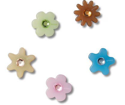 Enlighten Flower 5 Pack