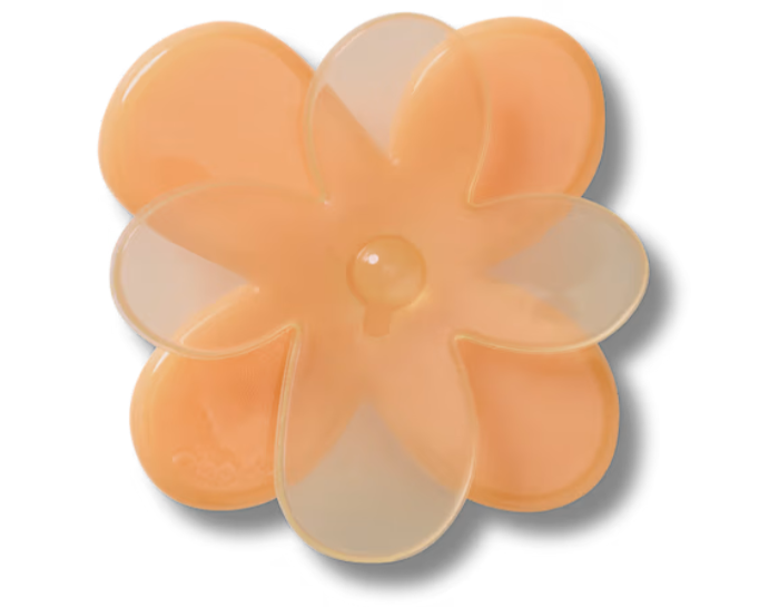 Blooming Orange Flower