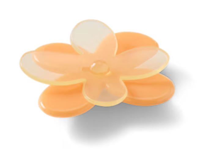 Blooming Orange Flower