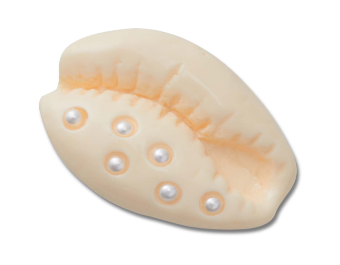Pearl Puka Shell