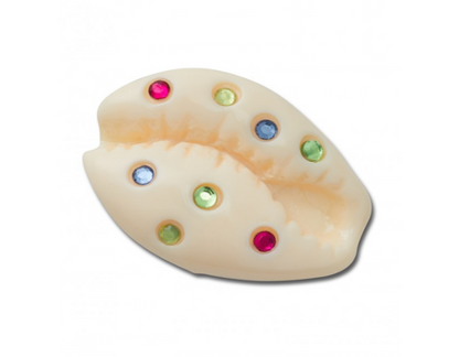 Gem Puka Shell