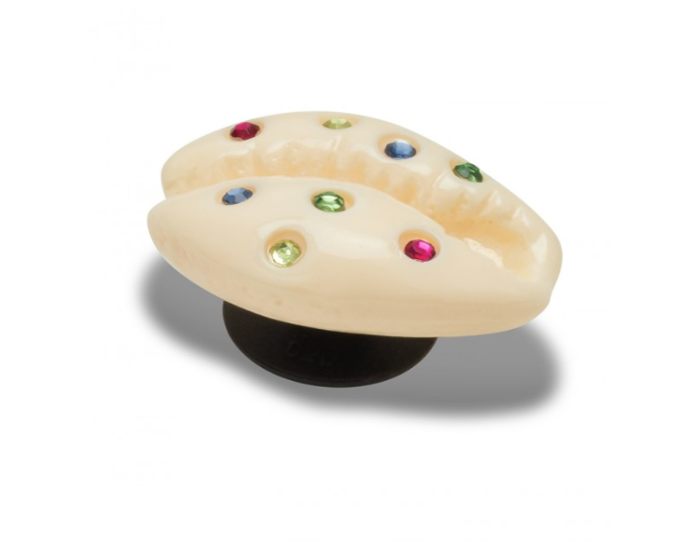 Gem Puka Shell