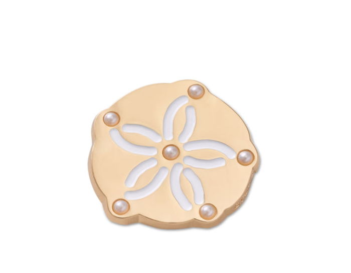 Gold Sand Dollar