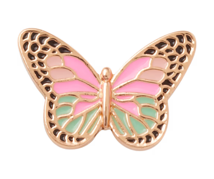 Elevated Colorful Butterfly